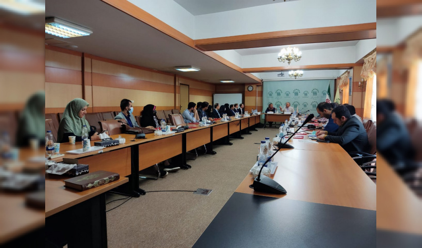 "Social interaction, stability and peace in the European Union" training workshop by experts from "NOREF" Institute