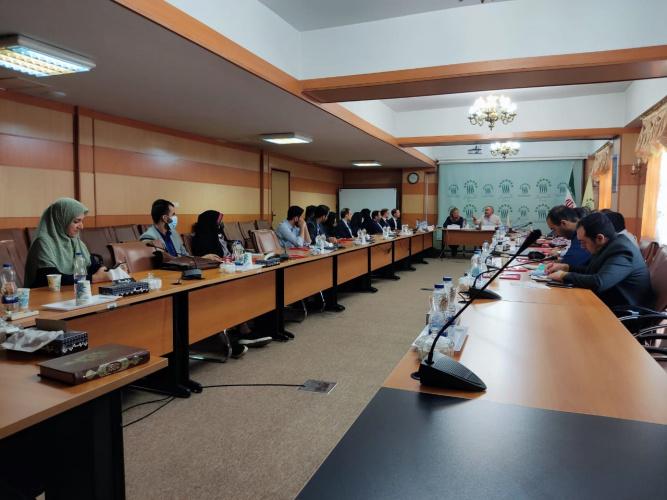 "Social interaction, stability and peace in the European Union" training workshop by experts from "NOREF" Institute
